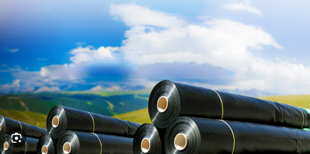 Apa yang digunakan oleh geomembrane