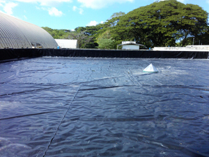 40 juta Membran HDPE Akuakultur