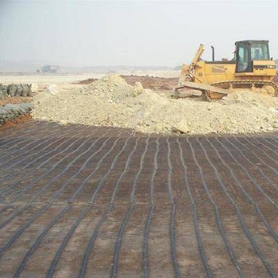 Geogrid Plastik PP Polipropilena Dwipaksi untuk Perlindungan Cerun Dinding